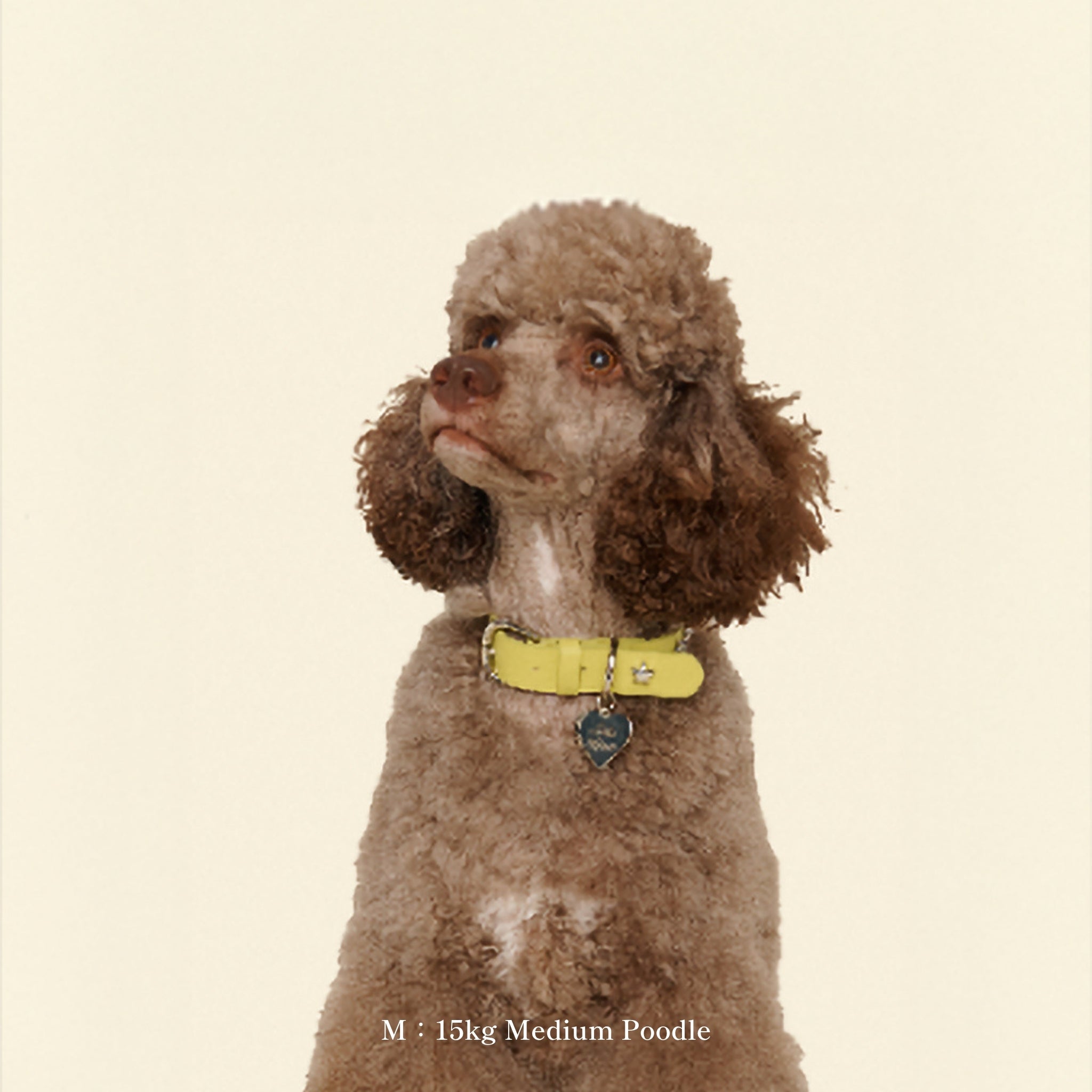 首輪 / Cowboy Collar - Olive