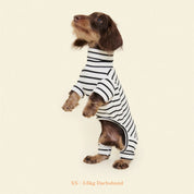 【2025年新作】ストライプ リブ ロンパース World's Your Oyster / Striped Onesies
