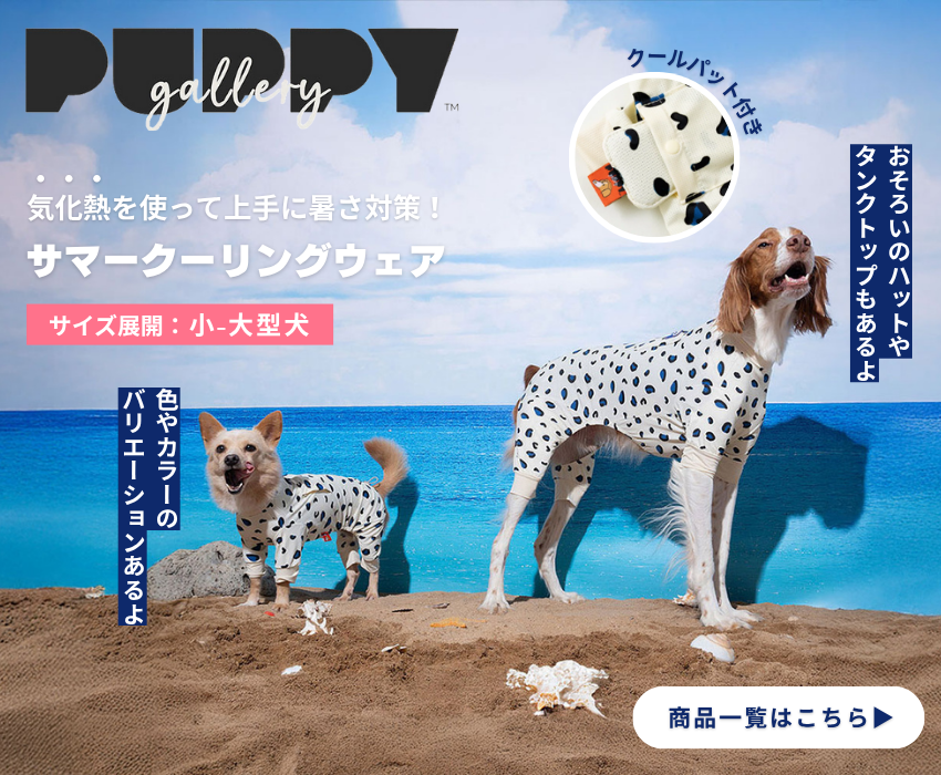 5_c477f497-0040-48a8-a22c-9e242a739238.png