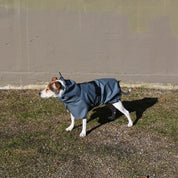 レインコート / Raincoat