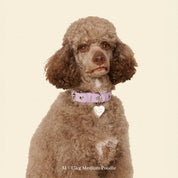 首輪 / You Mean The World To Me Collar - Lilac