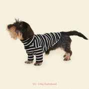 【2025新作】ストライプ リブ プルオーバー Café in Paris / Striped sweatshirt