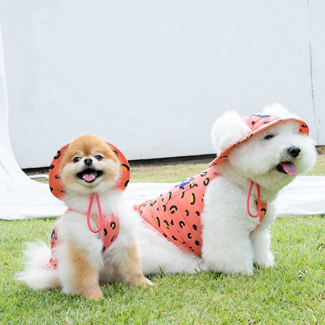 PUPPY GALLERY - クーリングハット – inunoco / いぬのこ