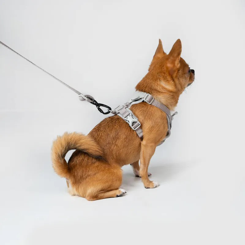 UXリード グレー / Ultra Explore Leash