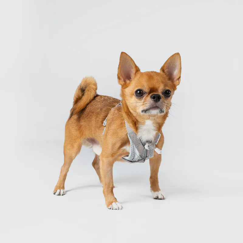 体に優しいシリーズ】UXハーネス グレー / Ultra Explore Harness 体に優しいシリーズ】UXハーネス グレー / Ultra Explore Harness