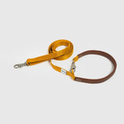 リード イエロー / Explore leash