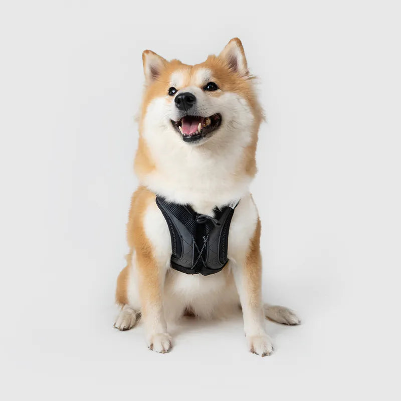 体に優しいシリーズ】UXハーネス ブラック / Ultra Explore Harness 体に優しいシリーズ】UXハーネス ブラック / Ultra Explore Harness