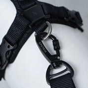 UXリード ブラック / Ultra Explore Leash