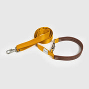 リード イエロー / Explore leash
