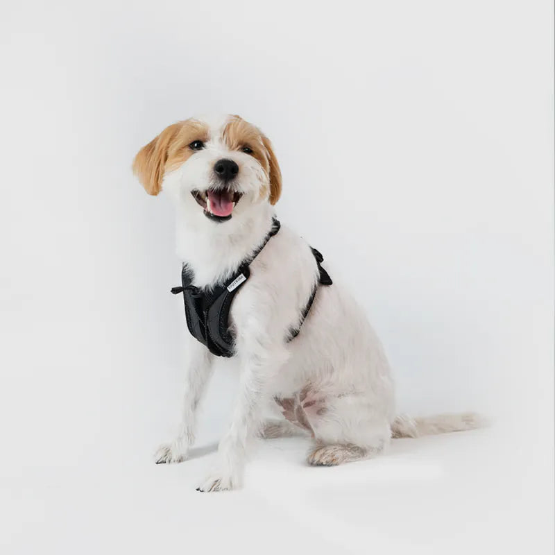 体に優しいシリーズ】UXハーネス ブラック / Ultra Explore Harness 体に優しいシリーズ】UXハーネス ブラック / Ultra Explore Harness