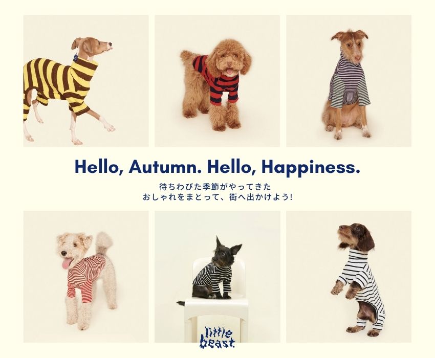 inunoco_shop – inunoco / いぬのこ