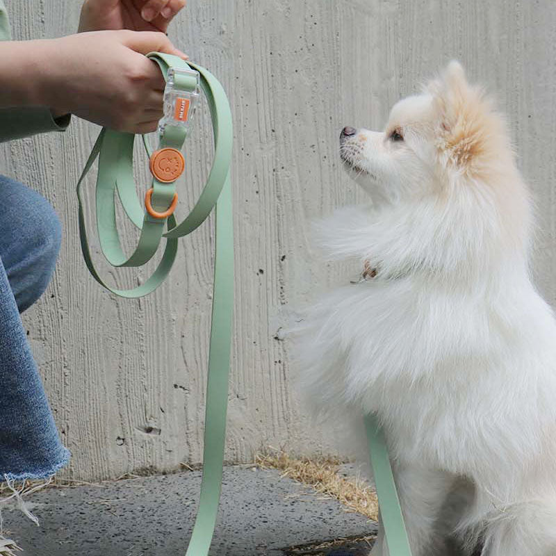ウォータープルーフ ハンズフリー リード / Macaron Hands-free Waterproof Leash