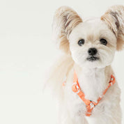ウォータープルーフハーネス / Macaron Waterproof Harness