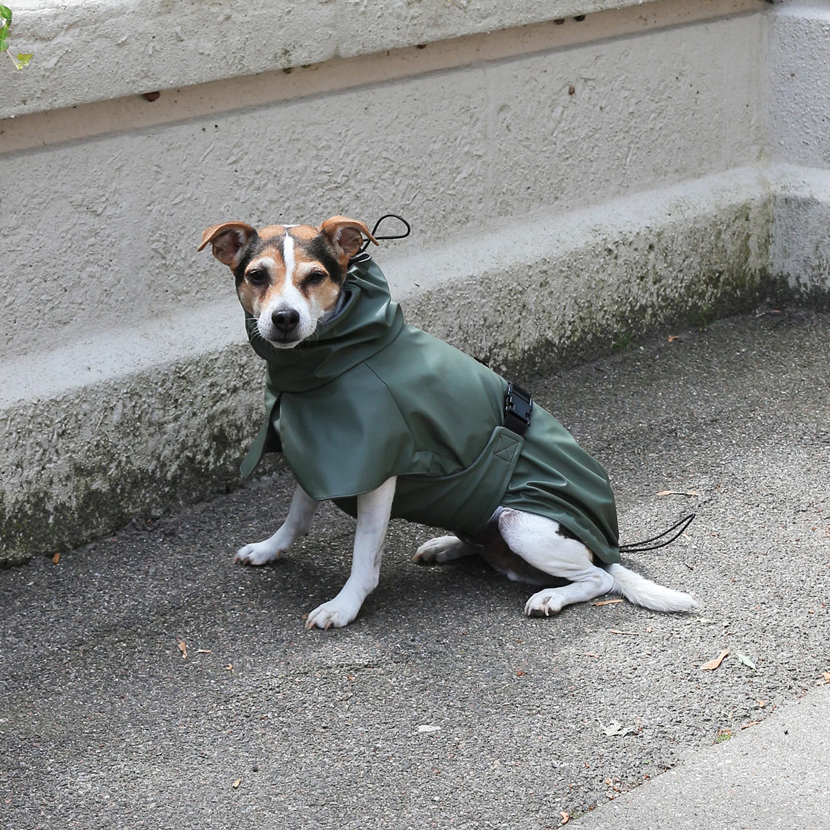 レインコート / Raincoat