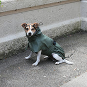 レインコート / Raincoat
