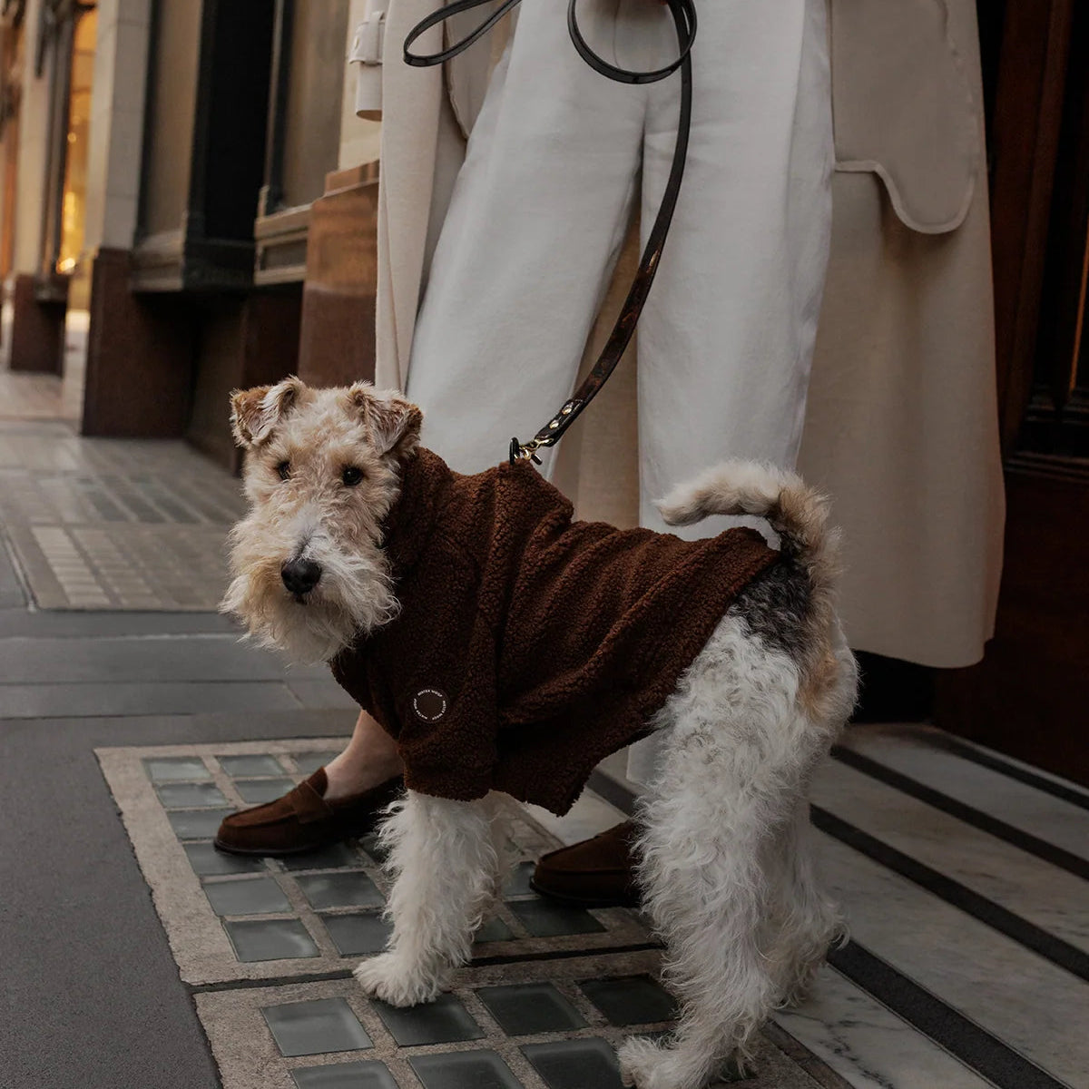 Brown-Bear-Teddy-Tom.webp