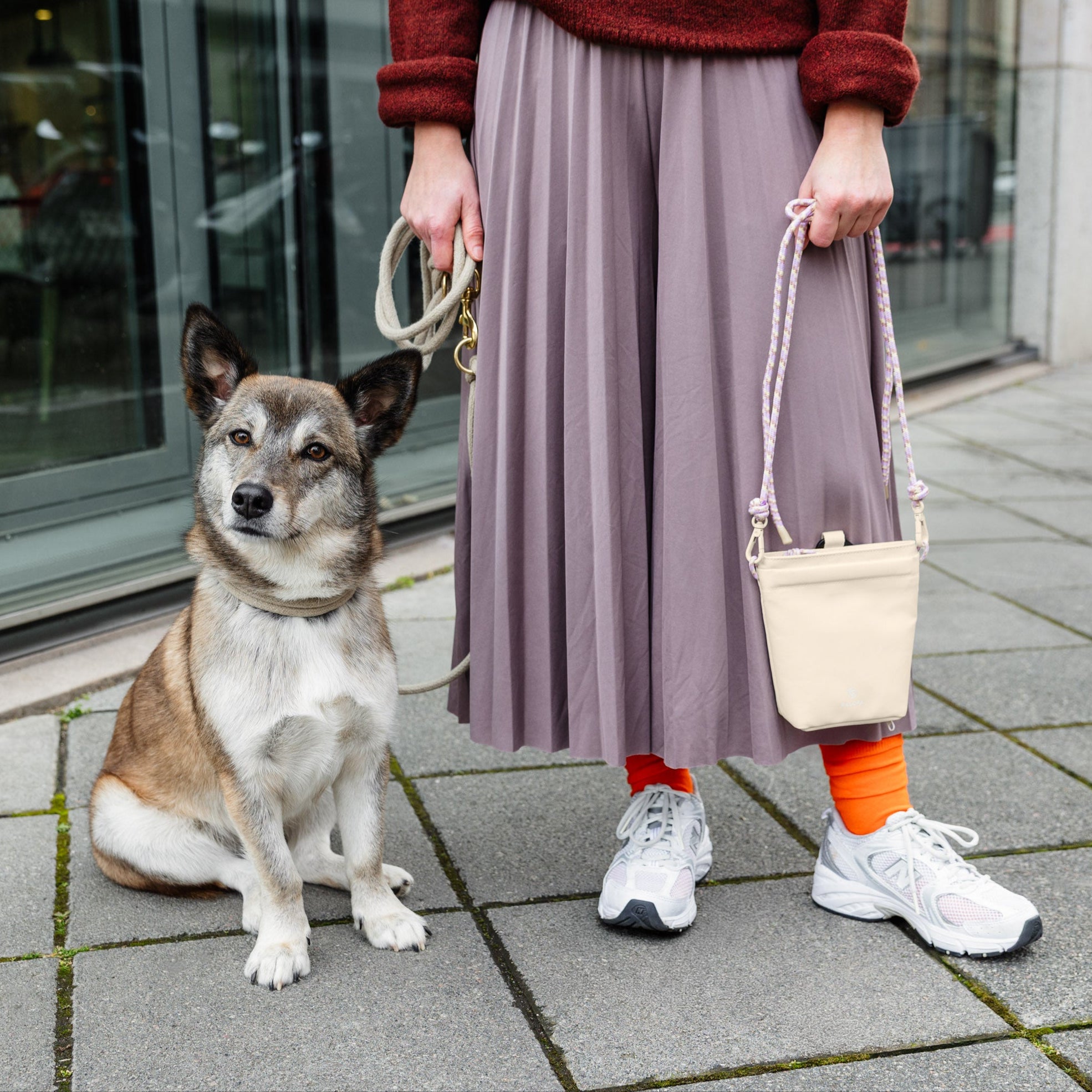 DOG_F24_21030103580_L_3.jpg