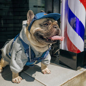 UNIVERSAL OVERALL × SPUTNIK【体に優しいシリーズ】ハーネス デニム / Harness