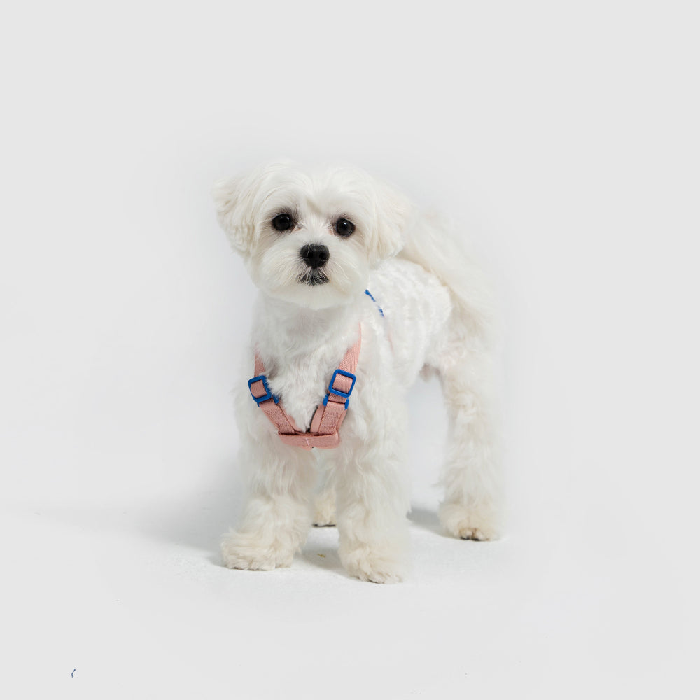 SPUTNIK / スプートニク 正規販売店 - HARNESS – inunoco / いぬのこ