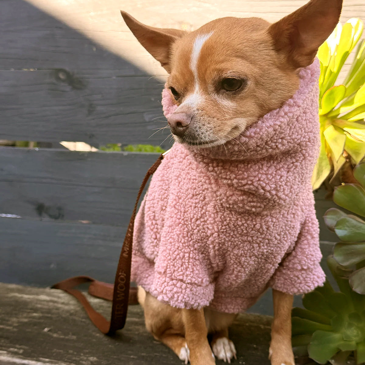 【2026年新作】テディベアプルオーバー ローズ / Teddy Jumper