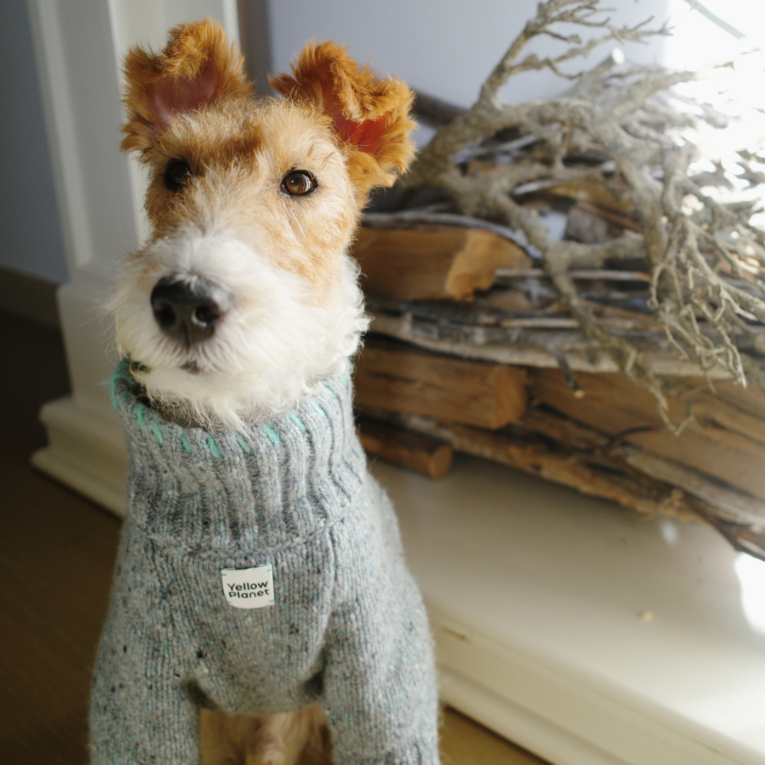 FunkyGentleDogSweater10.png