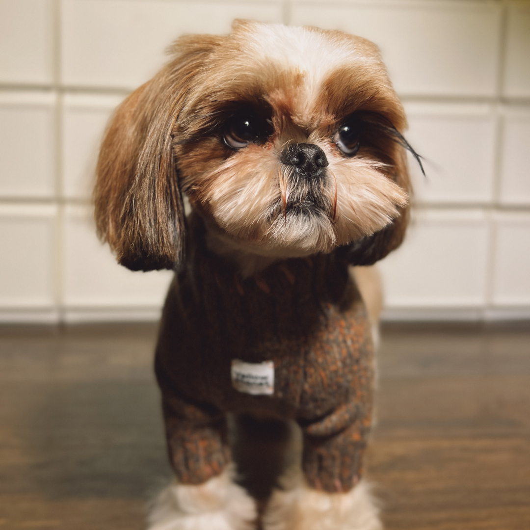 FunkyGentleDogSweater11.png