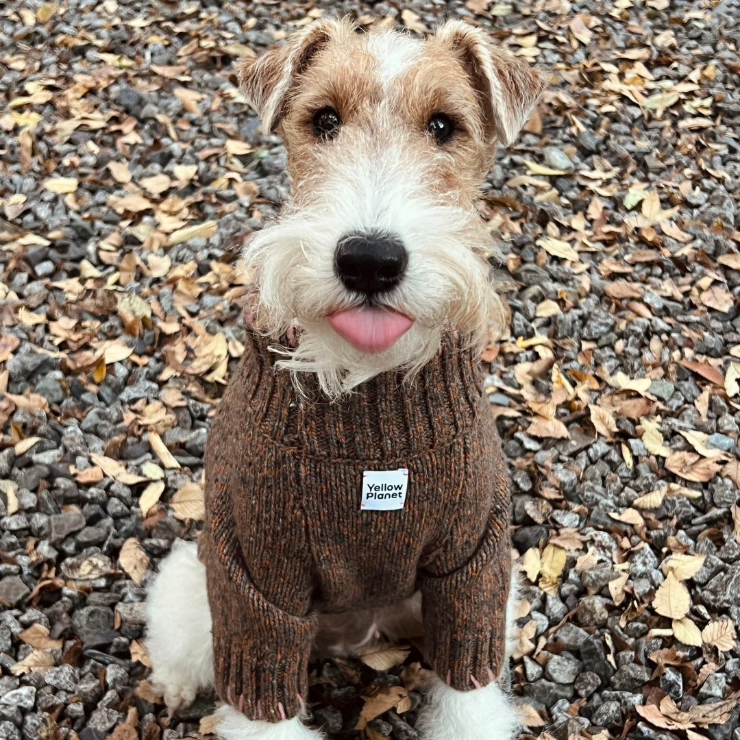 FunkyGentleDogSweater12.png