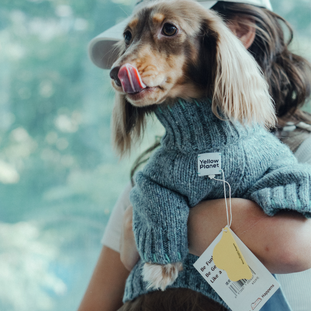 FunkyGentleDogSweater13.png