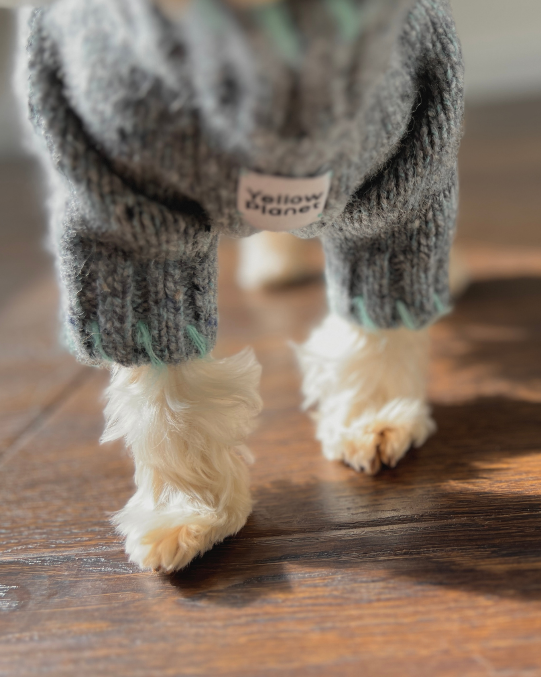 ペットセーター Sage Tweed / Funky Gentle dogシリーズ アルパカウールブレンド