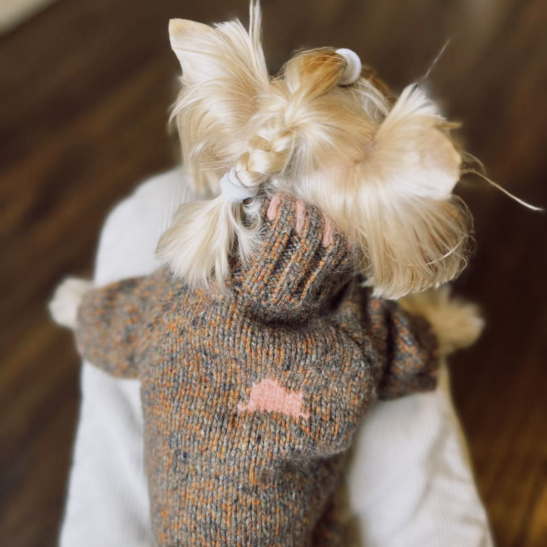FunkyGentleDogSweater3.png