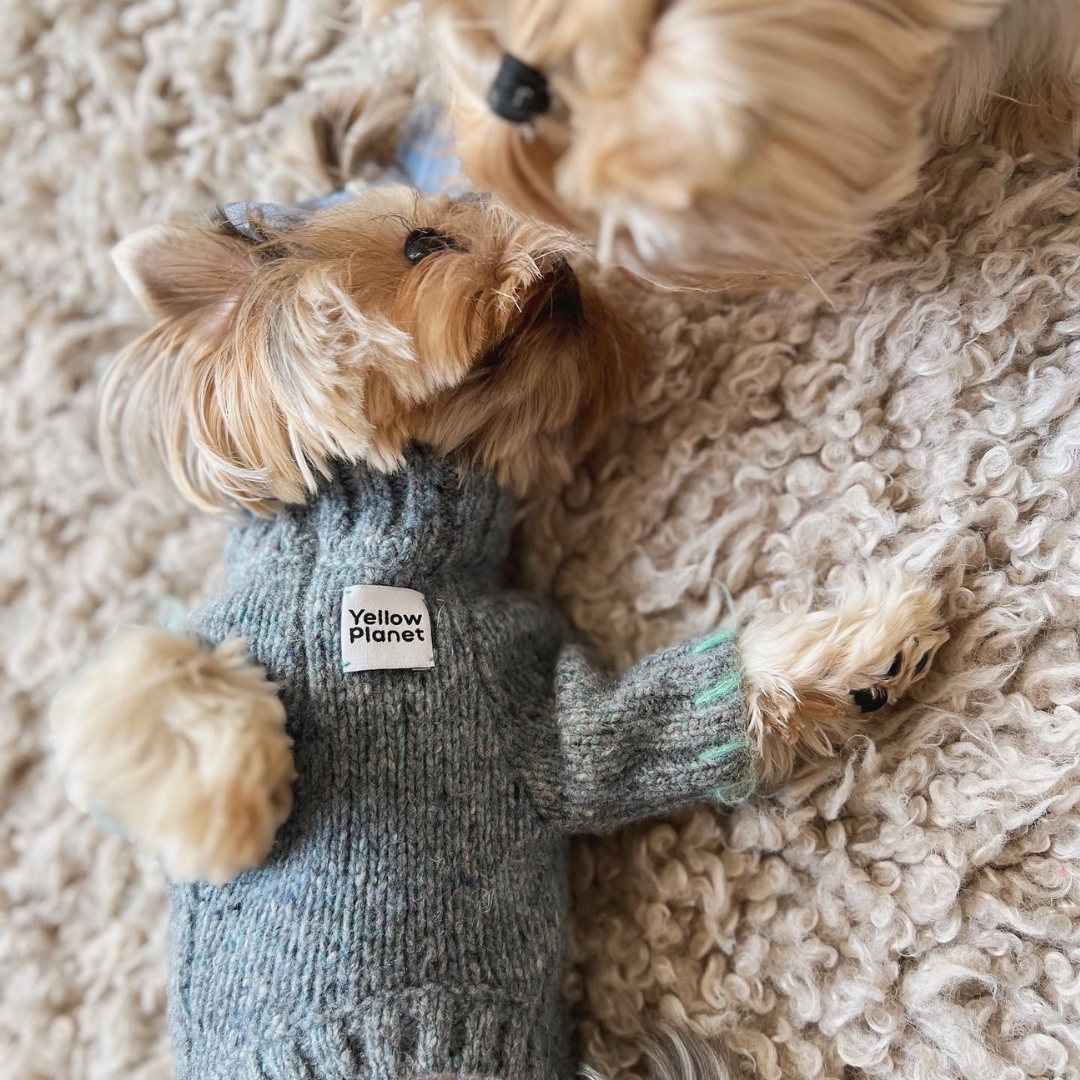 FunkyGentleDogSweater8.png