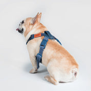 UNIVERSAL OVERALL × SPUTNIK【体に優しいシリーズ】ハーネス デニム / Harness