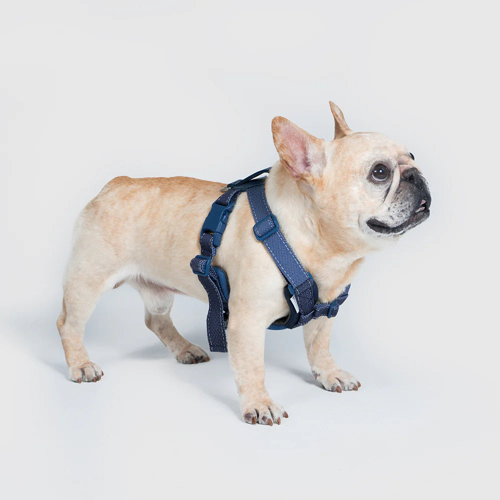 UNIVERSAL OVERALL × SPUTNIK【体に優しいシリーズ】ハーネス デニム / Harness