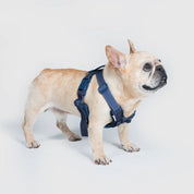 UNIVERSAL OVERALL × SPUTNIK【体に優しいシリーズ】ハーネス デニム / Harness