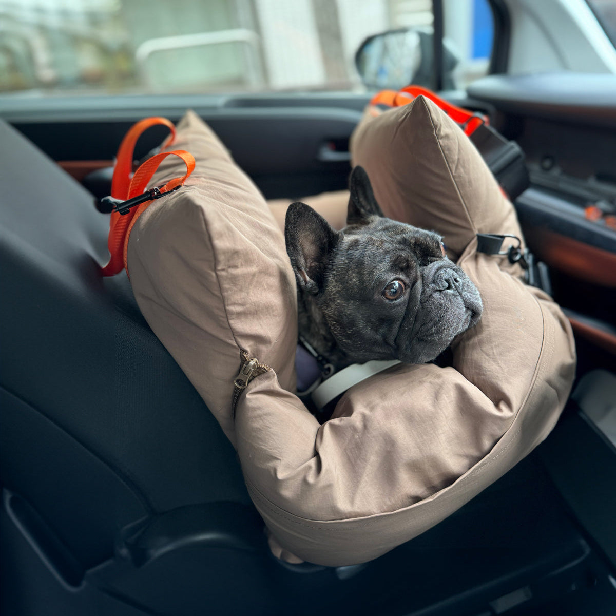 USHH – inunoco / いぬのこ