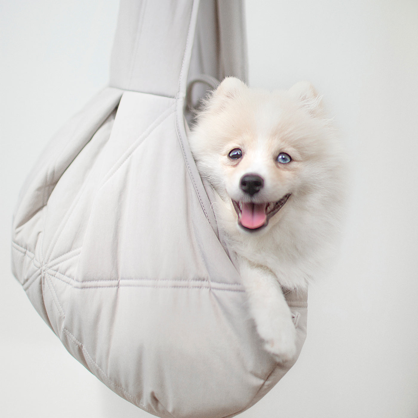 3way キャリーバッグ / OLLA petite pet carrycot
