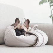 3way キャリーバッグ / OLLA petite pet carrycot