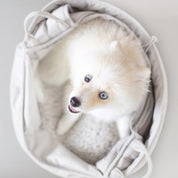 3way キャリーバッグ / OLLA petite pet carrycot