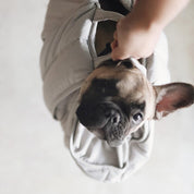 3way キャリーバッグ / OLLA petite pet carrycot