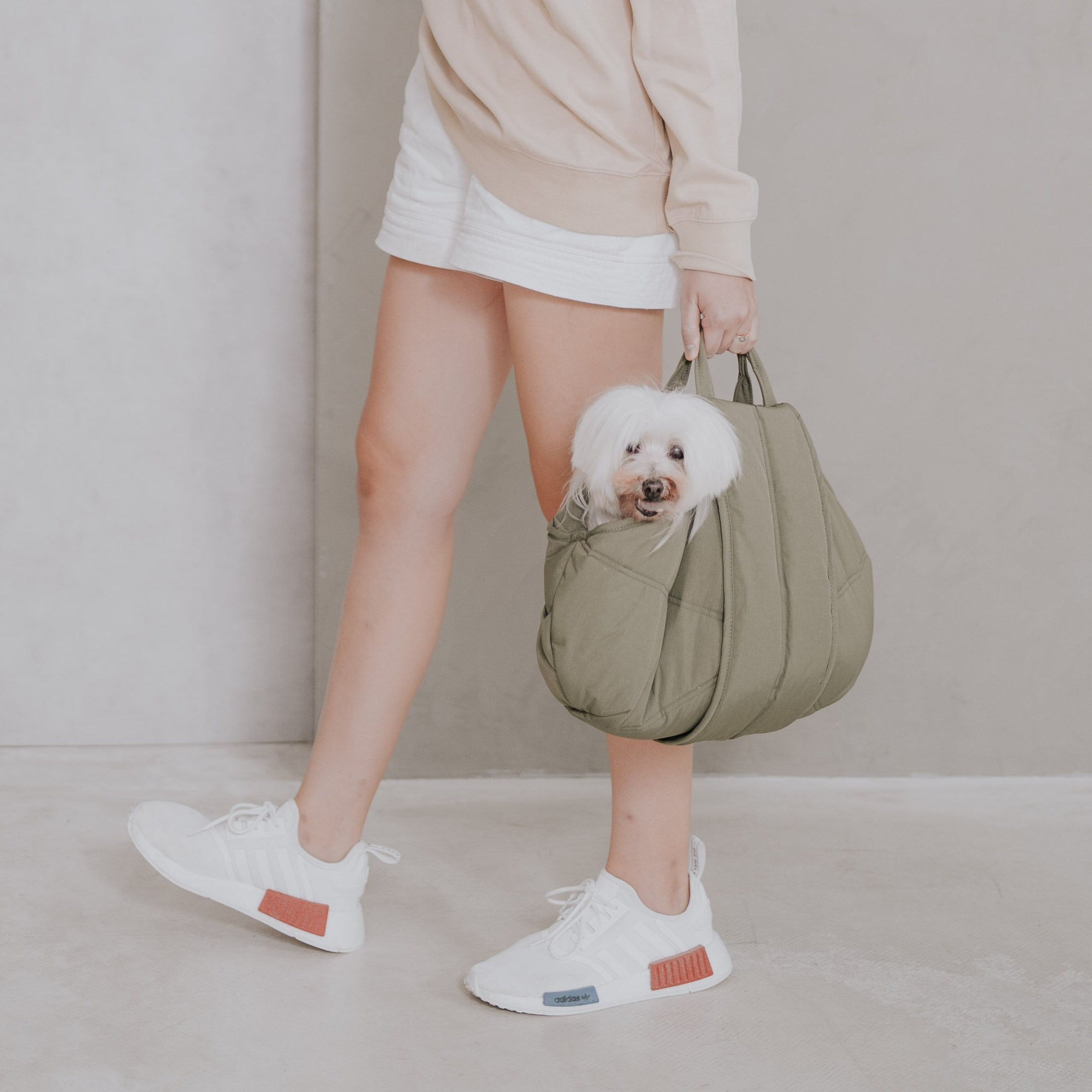 3way キャリーバッグ / OLLA petite pet carrycot