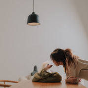 3way キャリーバッグ / OLLA petite pet carrycot