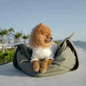 3way キャリーバッグ / OLLA petite pet carrycot