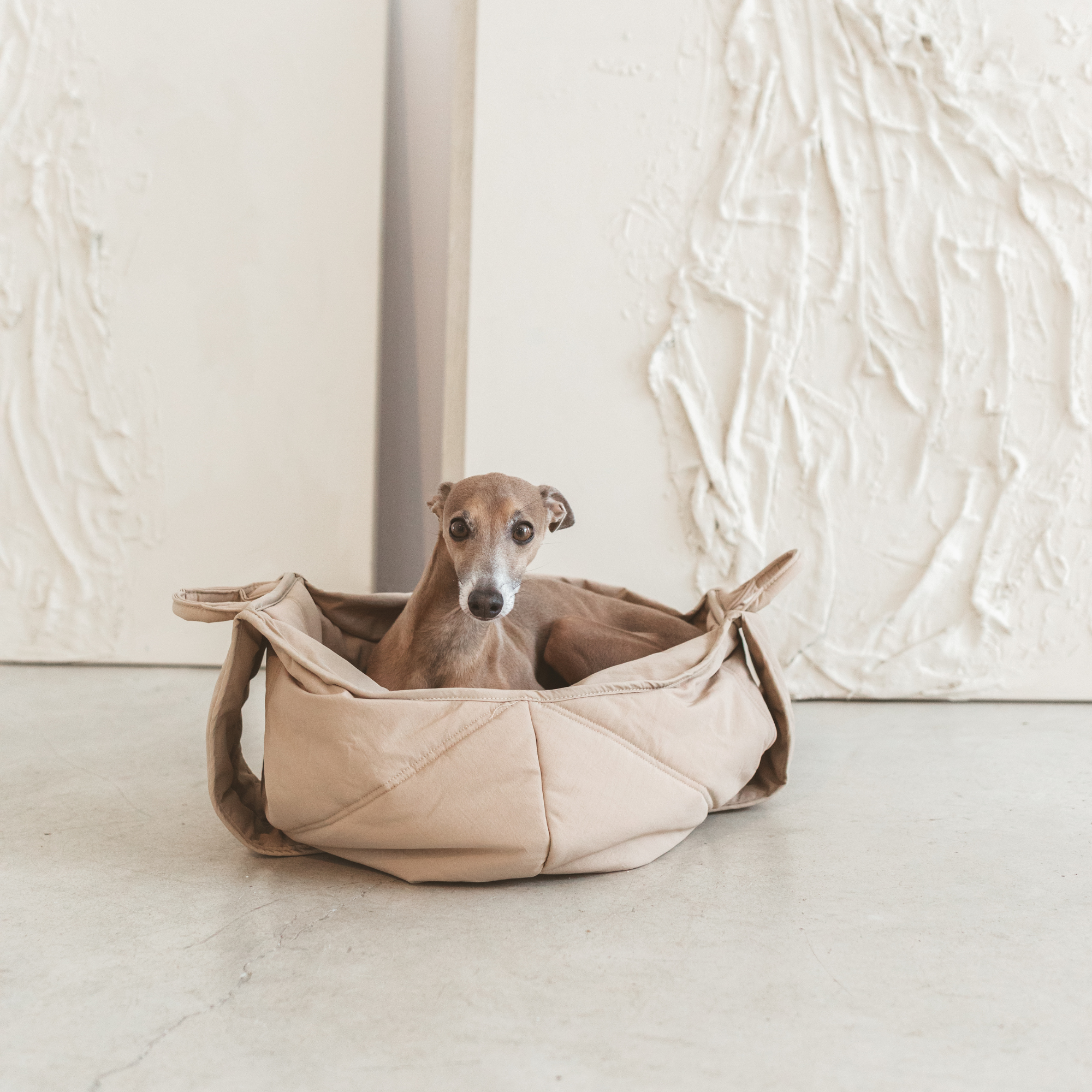 3way キャリーバッグ / OLLA petite pet carrycot