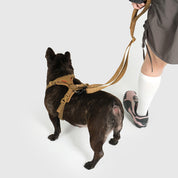 【体に優しいシリーズ】UXハーネス ベージュ / Ultra Explore Harness