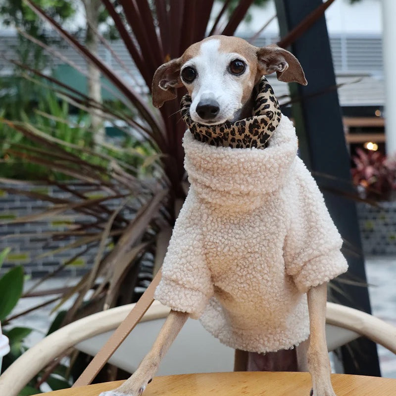  Teddy Jumper