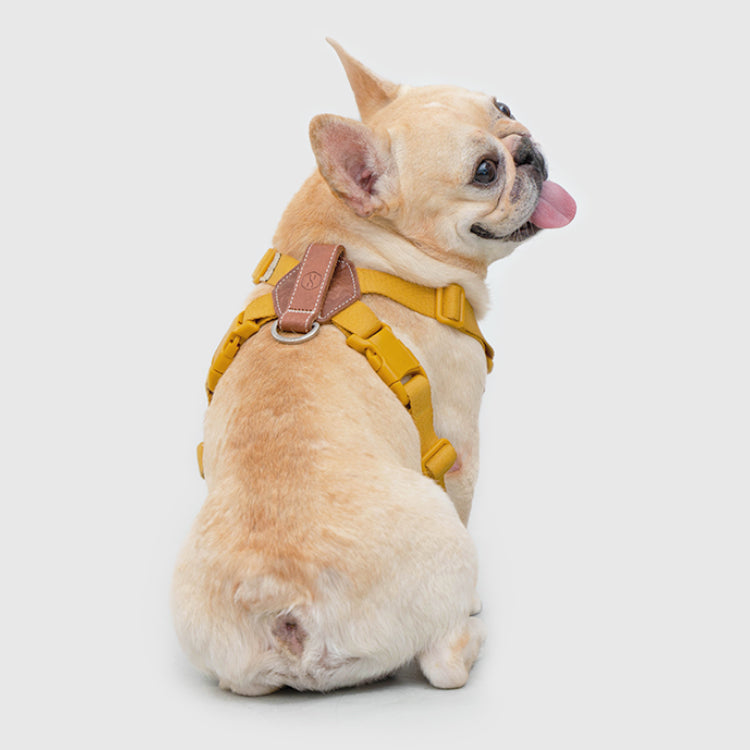 【体に優しいシリーズ】ハーネス イエロー / Explore harness