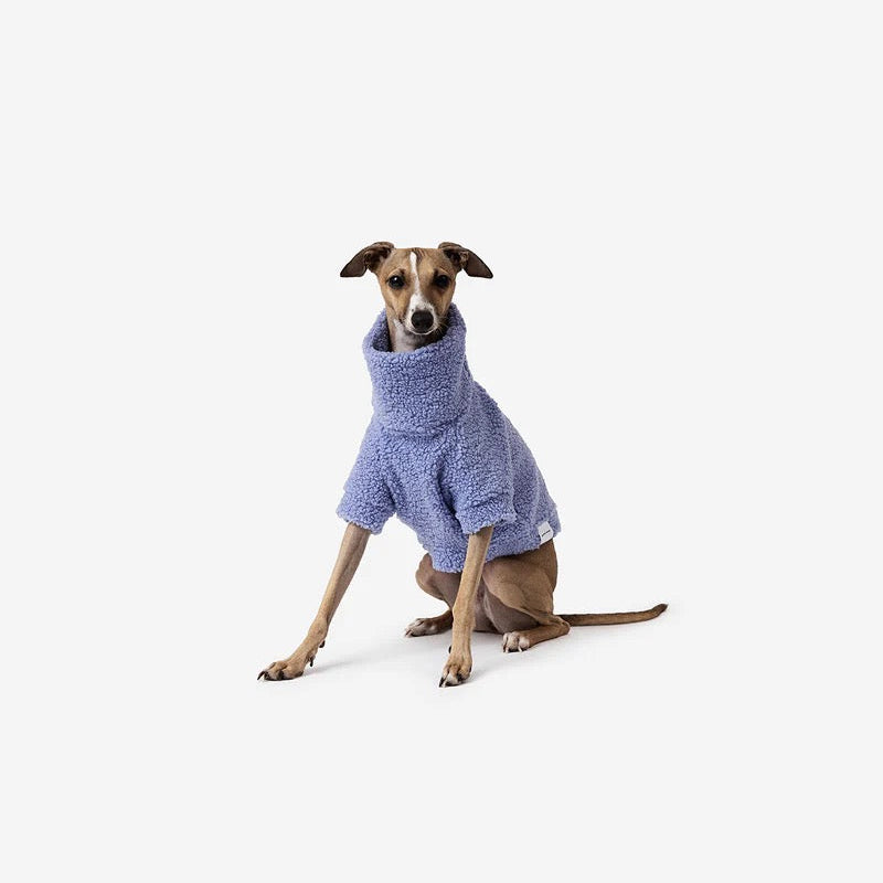  Teddy Jumper