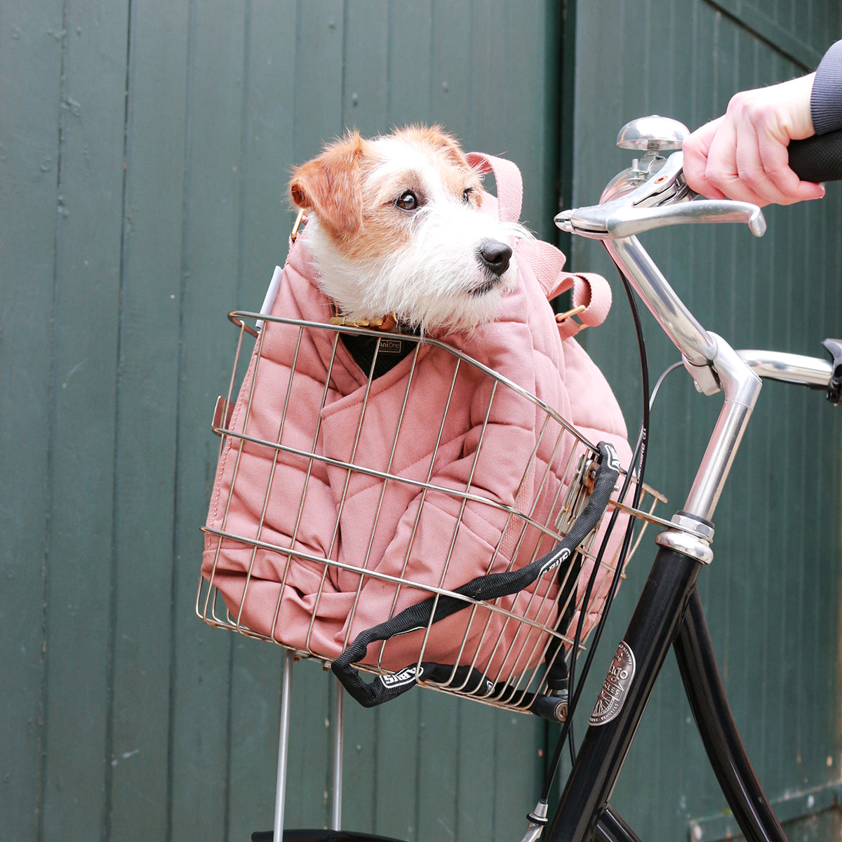 【予約商品】ドッグキャリーバッグ / RIO