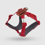 【体に優しいシリーズ】ハーネス レッド / Explore harness