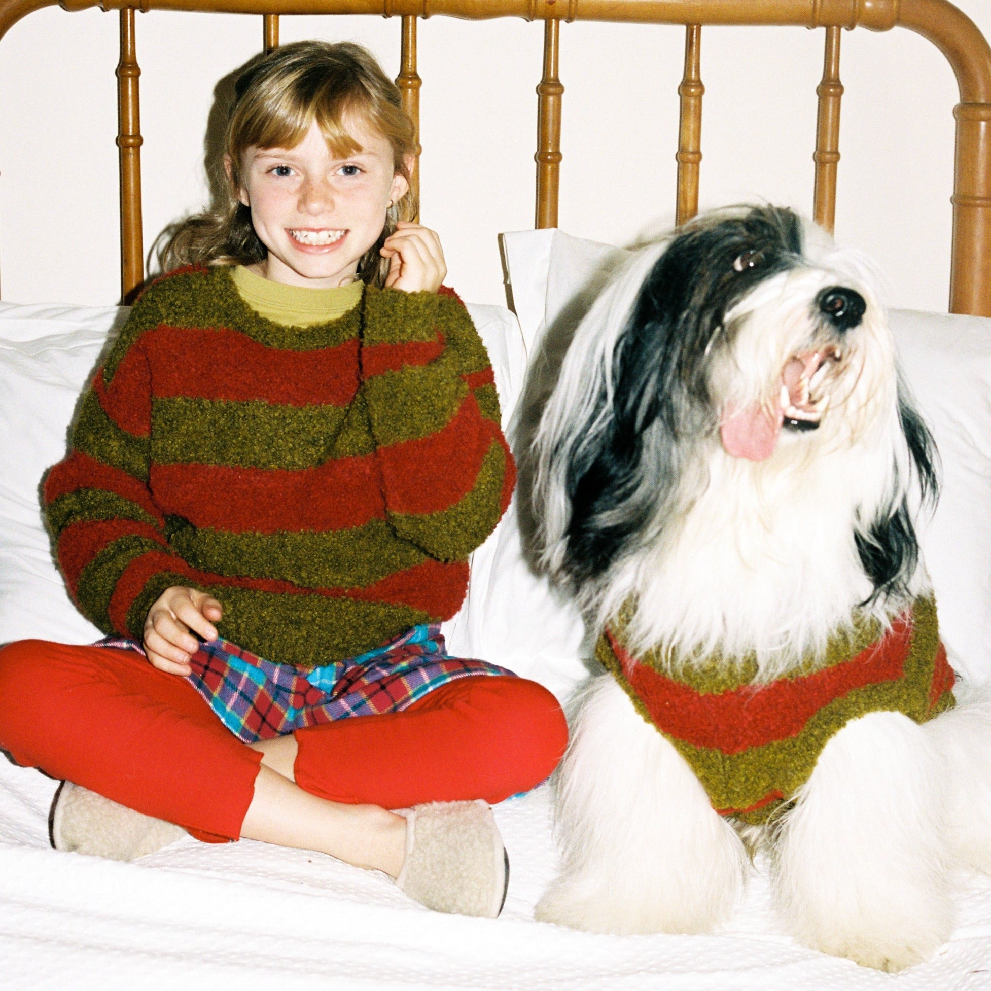 ストライプセーター / Red Striped Dog Sweater